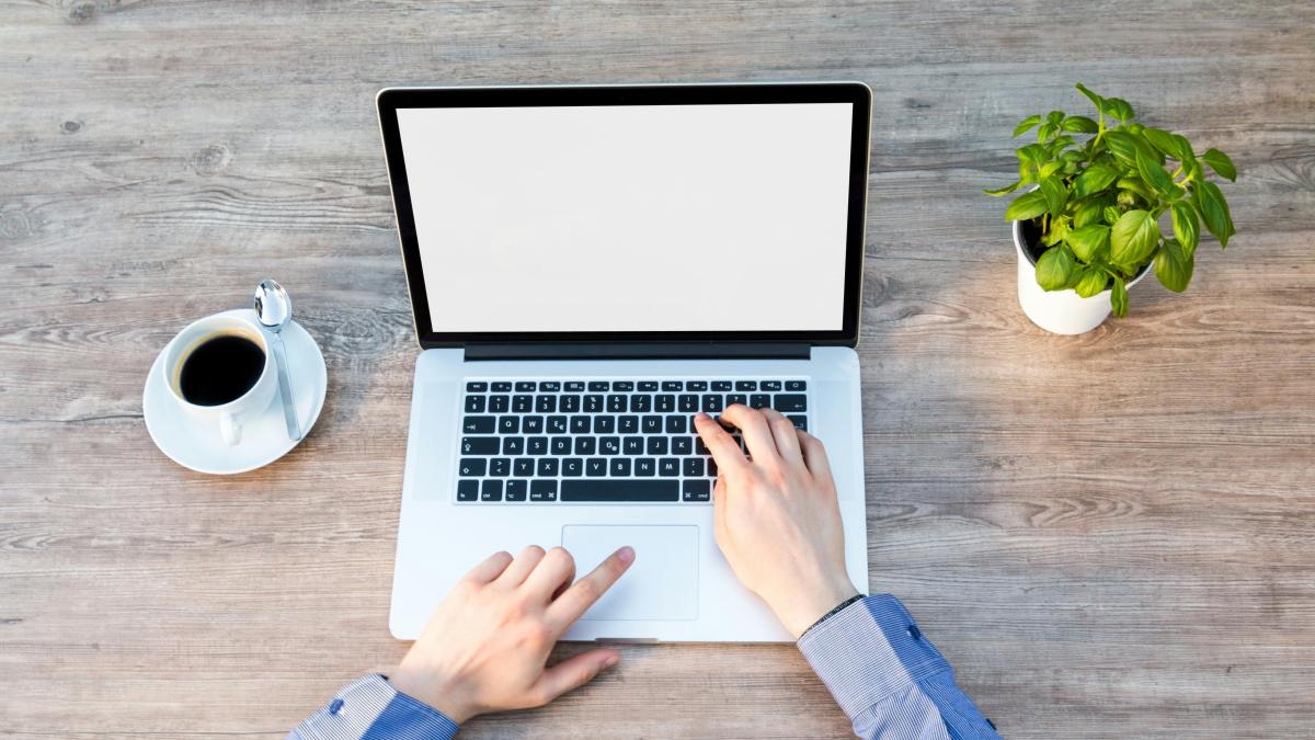 web design company in kochi